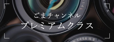 プレミアムクラス