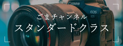 ごまチャンネル スタンダードクラス